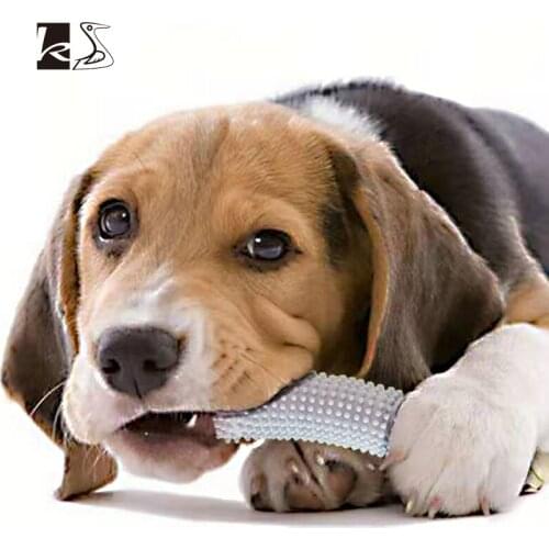 Pet Cucumber Shape Teeth Grinding Toy Durable dog accessories Dog toys dog supplies dog chew toys Toys for dog games for dogs