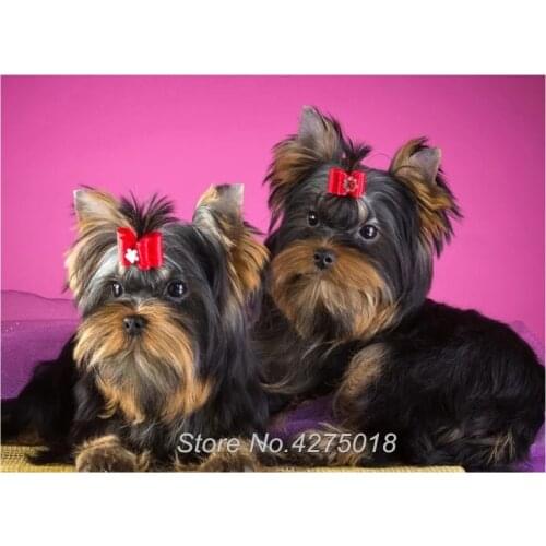 5D Sewing Art Crafts Diamond Embroidery Yorkshire Terrier DIY Diamond Painting Cross Stitch dog Mosaic Kit Wall Sticker YG603