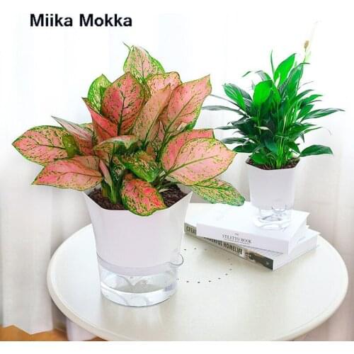 Simpler Creative Eco-friendly White and Transparent Round Plastic Plant Flower Pot Garden Pot Home Office Decor Planter