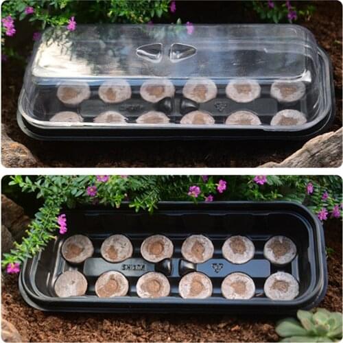 VOGVIGO 5Pack Mini Sturdy Windowsill Greenhouse Trays with Cover Dome Seeding Kit Novice Gardening Seed Starting Kit