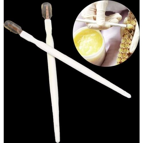 20PCS Bee Grafting Pen Beekeeping Royal Jelly Scraper Pen Queen Rearing Graft Bee Tools Supplies Bee Beekeeping Tool Take Pulp