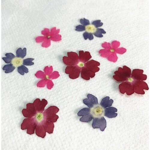 DIY dried flower plants specimens jewelry making pendants bookmark making home decoration