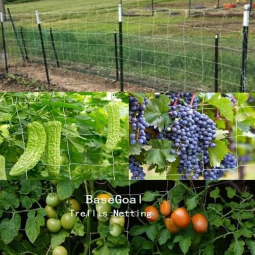 New Hot Trellis Net for Plant Heavy-duty Polyester Plant Support Vine Climbing Hydroponics Garden Twine