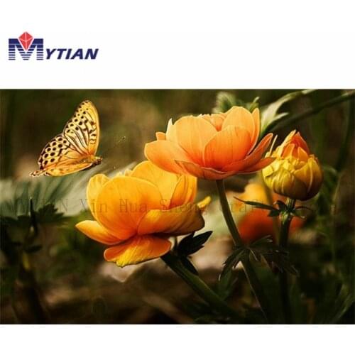 5D DIY Full Drill Square Round Diamond Painting Cross Stitch Orange Butterflies & Flowers Diamond Embroidery Mosaic Home Decor