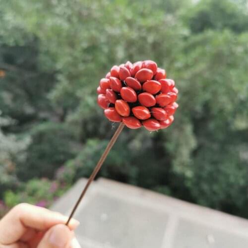 1pcs/4cm head,Craft Acacia red bean Display Flower with Wire Branch,Natural real Dried bean Wedding Home Decoration accessories