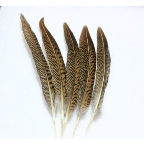 Free shipping wholesale 6-8inch/15-20cm 50pcs /Pheasant DIY pheasant feathers /jewelry accessories