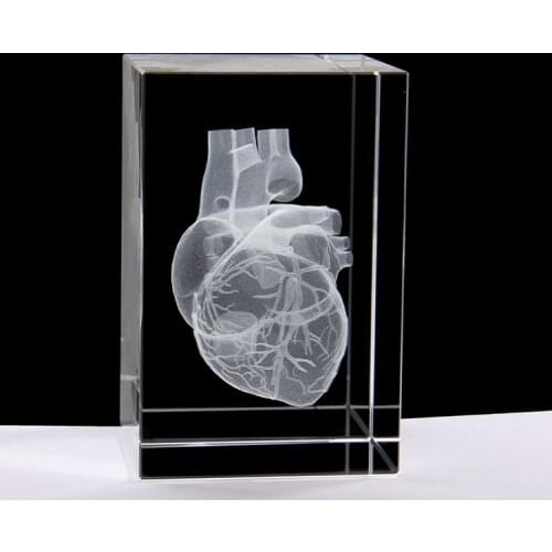 Good gift - medicine Medical Science Internal medicine Doctor heart Figurine 3D Crystal ART statue -FREE SHIPPING cost