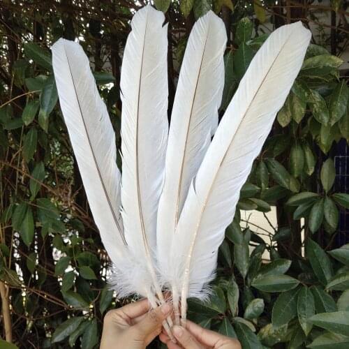 Hot Sale 50pcs Rare Beige Natural Pheasant Feather 40-50 cm/16-20 inch For Wedding Christmas Home Craft New Year