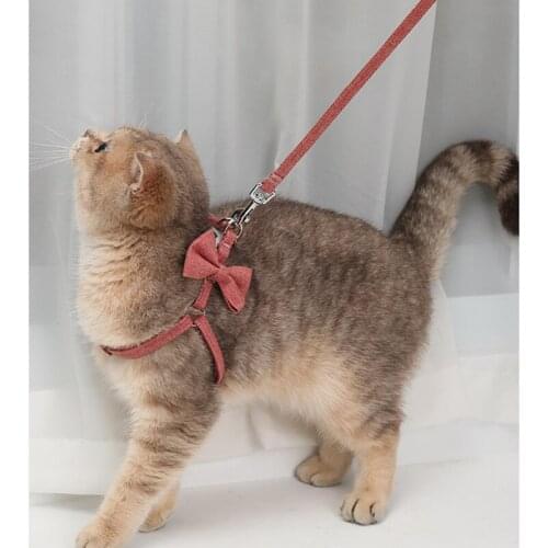 Soft Pet Harness and Leash Collar Set Adjustable Lovely Bow Polyester Small Medium Dog Leashes Outdoor Walking Pet Supplies