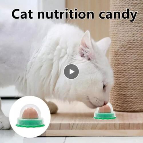 Cat Catnip Snacks Catnip Candy Licking Healthy Nutrition Energy Ball Kitten Toy High Quality Pet Product Candy Fixed 1Pcs