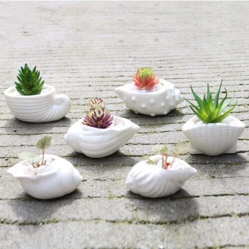 6pcs/set Mini White Small Flowerpot Shell Conch Ocean Shape Ceramic Succulent Plant Pot Holder Fairy Garden Cactus Flower Pots