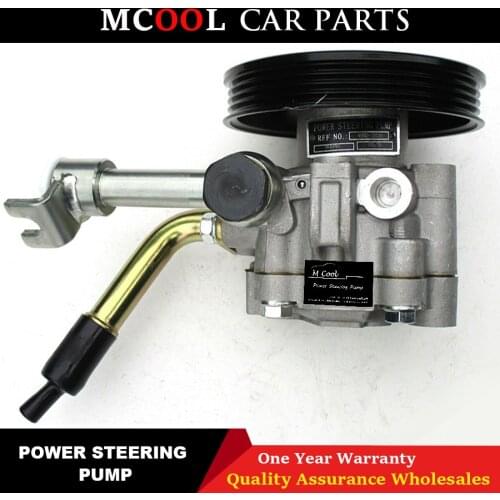 Power Steering Pump For Nissan Navara D40 2.5TD Pathfinder R51 2.5TD 49110-3X01A 49110-EB300 491103X01A