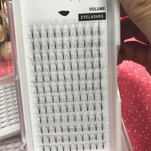 5D Hot Selling South Korea Silk Premade Fans Volume Lashes 2Tray/Lot Individual Eyelash Extension Luxury Lashes Free Shipping