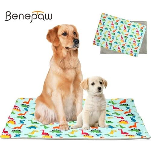 Benepaw Cute Nonslip Washable Puppy Pads Ultra Absorbent Eco-friendly Training Dog Pee Pad Waterproof Reusable Dog Mat Durable
