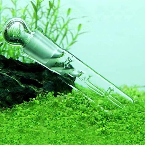 1Pc 1/2/3 Hole Snail Pest Glass Planaria Leech Trap Food Pen Box Fish Tank Shrimp Worm Catcher Aquatic Aquarium Cleaner Tool