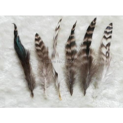 50Pcs/Lot!4-6"10-15cm Natural Grey Grizzly Chinchilla Coque Rooster Feathers Wholesale Hair Extension Bulk Supply Design Craft