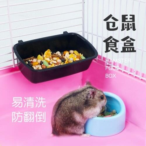 Food basin hedgehog bowl anti turnover feeder food box Golden Bear honey bag flying squirrels rice bowl food plate