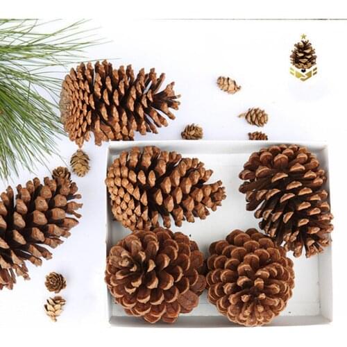 10pcs Natural Dried flowers Pine cone Acorn wholesale Artificial Flower For Home Christmas DIY Garland Decorationreath wedding