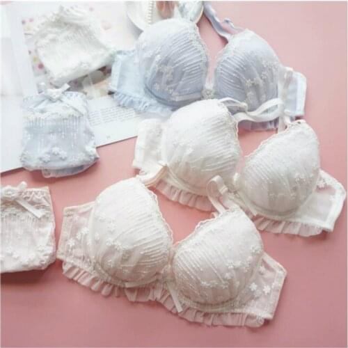 Plus Size Seamless Lingerie Femme Ethika Women Set Underwear Women Push Up Bra and Panty Embroidery Pink Blue White Bras Thong