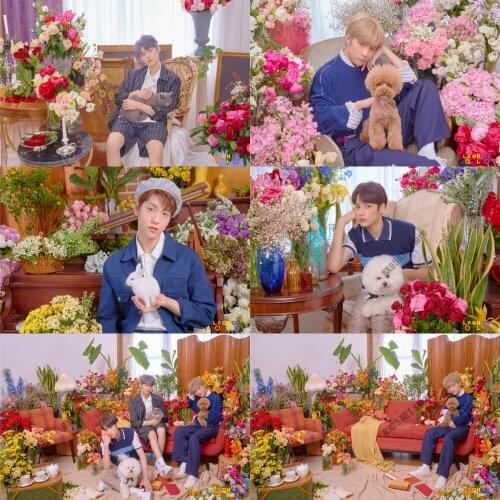 TXT Cat & Dog 5D DIY Diamond Painting Diamond Embroidery Full Square&Round Mosaic Cross Stitch Kits Kids Room Decoration