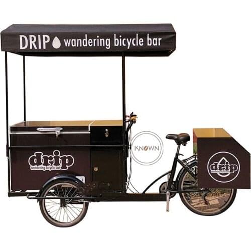 3 Wheel Electric Bike 250w Cargo Adult Tricycle Food Cart Refrigerator Ice Cream Food Bike with Customized Black Logo for Sale