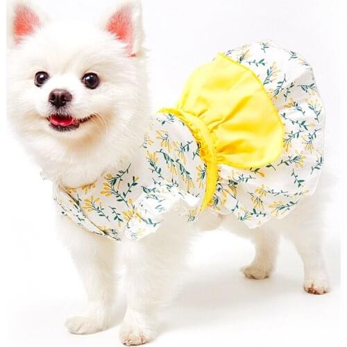 Zq Pet Dog Clothes Skirt Spring/Summer Thin Teddy Bichon Small Dog Summer Princess Dress