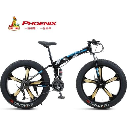 Phoenix Bicycles