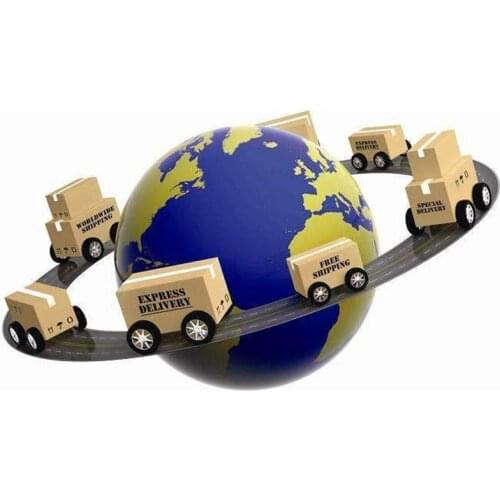 Fast Shipping Cost 100