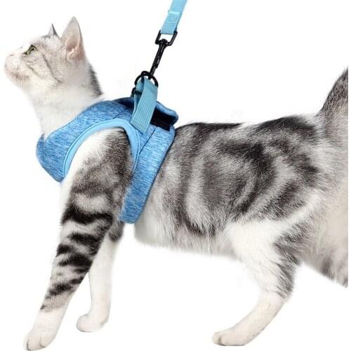 The New Pet Traction Rope for Walking Cats Korean Version of The Cat Harness Small Dogs Cats Traction Artifact Pet Accessories