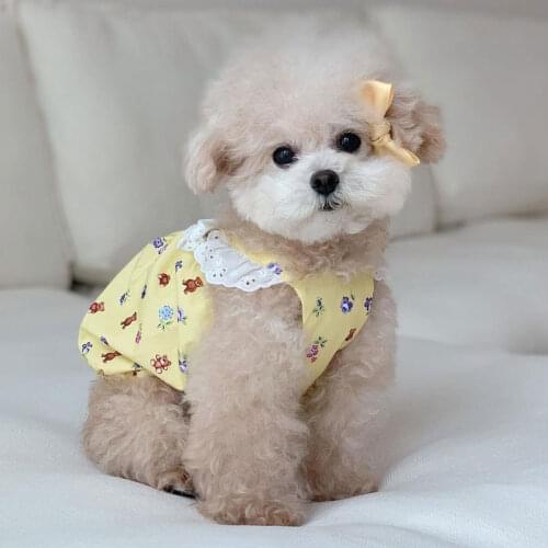 Dog Dresses for Small Dog Cute Dog Costume with Lace Cotton INS Pet Clothes for Teedy Bear Pattern Pet Product Puppy Accessories