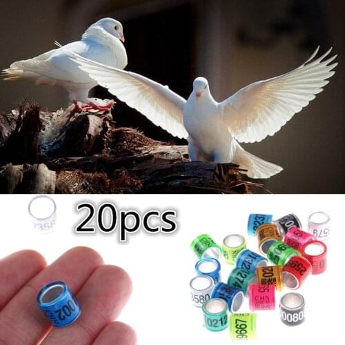 20Pcs Pigeon Leg Rings Identify Dove Bands 8mm Plastic With Al GB Rings Pigeon Training Supplies Aluminium Rings For Pigeons