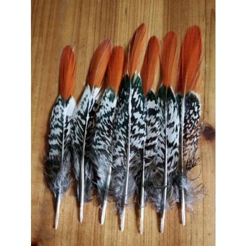 50 pieces quality natural Lady Amherst Pheasant feathers, 6-8inches / 15-20cm DIY decorative handicrafts accessories