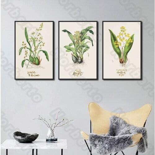 Canvas Painting Wall Green Orchid Picture Prints and Posters Art Print Flower for Living Room Salon Modular Kitchen Decotion