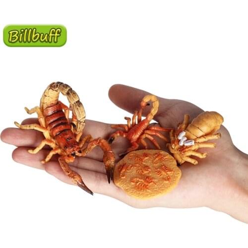 4Pcs DIY Simulation Animal ABS Action Figures Scorpion Stage Spider Crocodile Solid Life Growth Cycle Set Toys for Children Gift