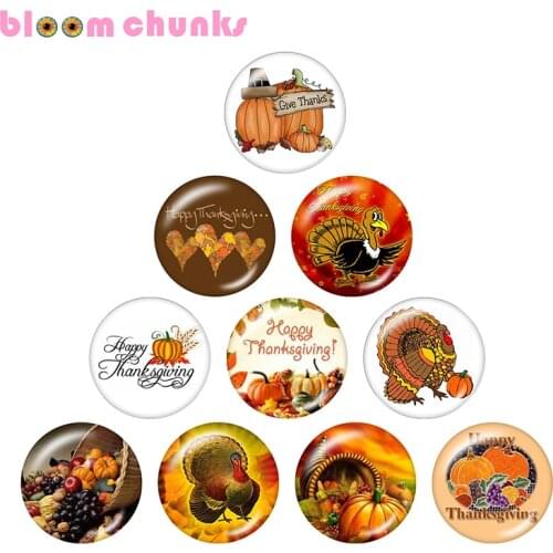 Thanksgiving Turkey 10pcs mixed 12mm/18mm/20mm/25mm Round photo glass cabochon jewelry flat back Making findings S2330
