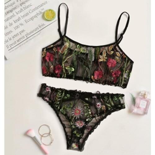 Womens Underwear Set Sexy Embroidered Bra and Panty set Push up Bralette Floral Lingerie Set Sexy Transparent Underwear
