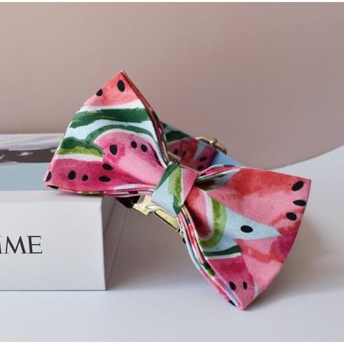 Personalized Pet Fruits Bowknot Dog Collar And Leash Set Can Carve For Free Suitable For All Kinds Of Small Dog, Medium Dog