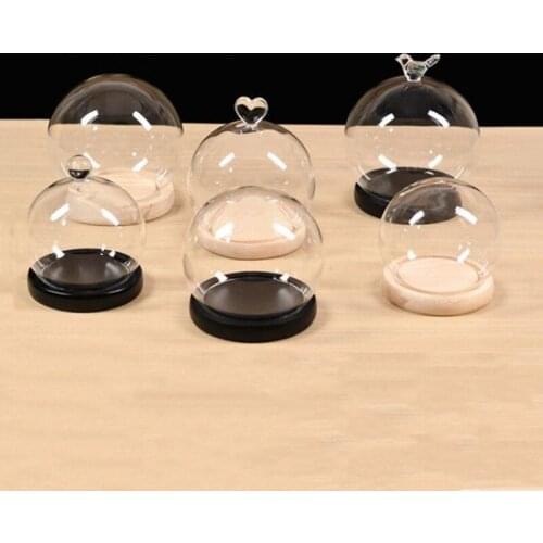 Diameter=20cm Big Size Round Shaped Glass Dome Vase Home Decoration Different Flat Base Cover DIY Friend Birthday Gift Wedding