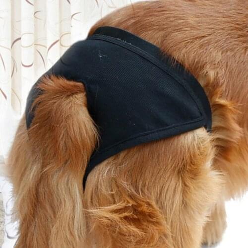 High quality pet dog Physiological pants doggy Menstrual pants dogs Anti-harassment safety pants puppy shorts costume 1pcs