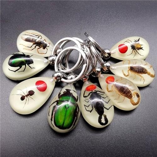 Luminous Insect Resin Crystal Waterdrop Keychain Real Ant Scorpion Silver Color Key Chain Wallet Chain Crab Bag Car Key Ring 50