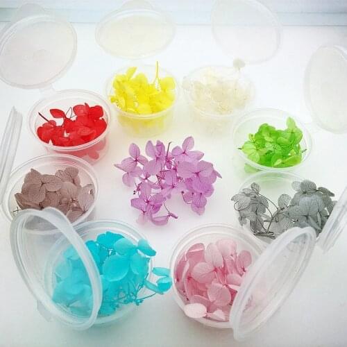 20pieces petal per box Natural small leaf Hydrangea Dried flowers glass globe filler DIY more color to choose