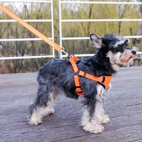 Newly Design 10 Colors Pet Dog Harness High Quality Comfortable Breathable Collar for Small Dogs Durable Harness+Leash Set 10A