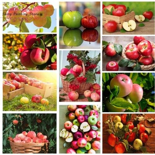 5D DIY Red Apple Diamond Painting Full Square Round Drill Diamond Embroidery Fresh Fruit Landscape Handicraft Dining Room Decor