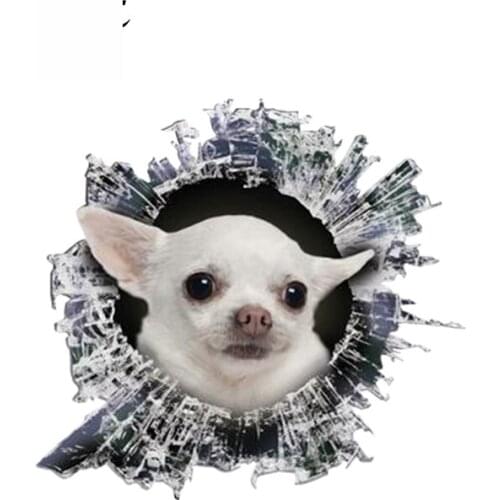 Dawasaru 3D White Chihuahua Window Decal Glass Slag Decal Reflective Stickers Waterproof Bird Decals 13cm X 12cm