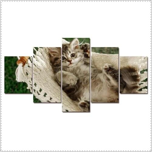 HD 5 Pieces Pet Cat Animal Pictures Posters Wall Art Home Decor for Living Room Painting on The Wall Cat Pet Pictures Wall Art