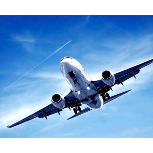 A11971 11CT/14CT/18CT/25CT/28CT Oil tea patterns Counted Cross Stitch DIY Cross Stitch Kits Embroidery Needlework Sets