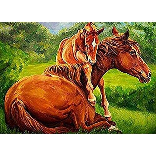 Pictures By Number Horse DIY HandPainted Art Gift Kits Home Decor Painting By Numbers Flower Drawing On Canvas