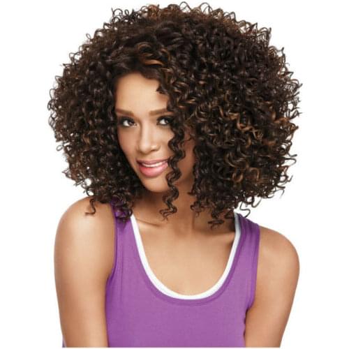 Brown Fashion Womens African Small Roll Hair Heat Resistant Synthetic Full Wigs