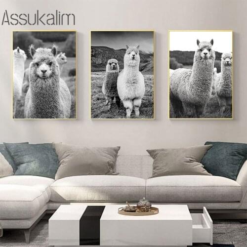 Black And White Canvas Print Animal Wall Art Posters Alpaca Paintings Nordic Poster Modern Wall Paintings For Living Room Decor