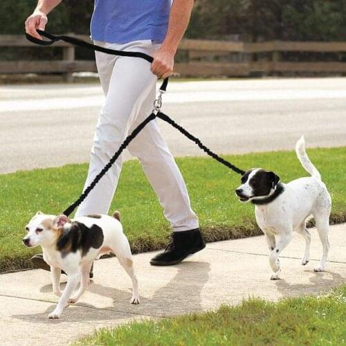 AINOLWAY Leashes For Dogs